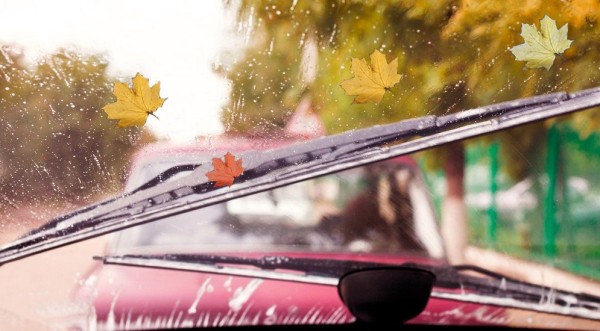 Автоэксперт Хайцеэр дал чек-лист подготовки машины к осеннему сезону Автоэксперт Хайцеэр дал чек-лист подготовки машины к осеннему сезону