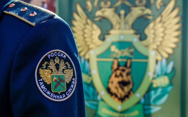 
            В России массово аннулируют регистрацию машин в ГАИ. Кого это коснется
        