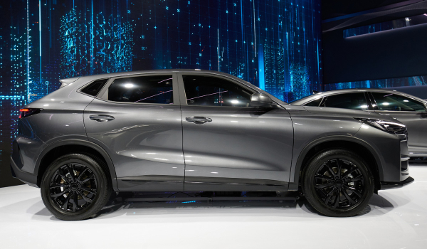 Показаны три модели под маркой Volga Показаны три модели под маркой Volga